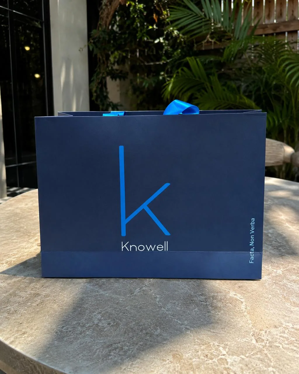 Custom printed paper shopping bags with rope handles for a retail clothing store.